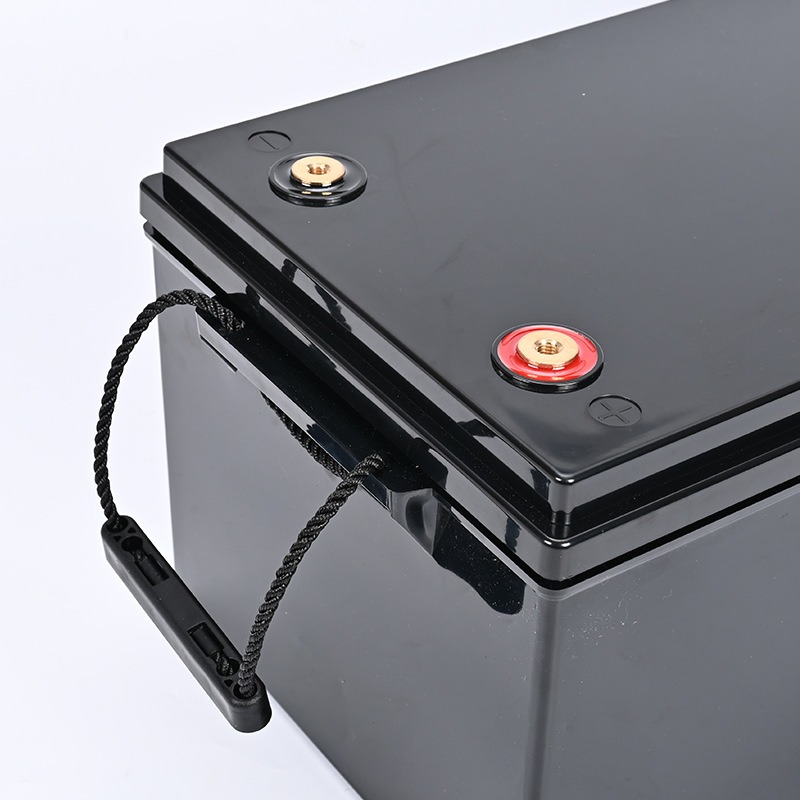 Wasserdichte Batteriebox mit S – Lithium Battery 12V Bewertung und Preis