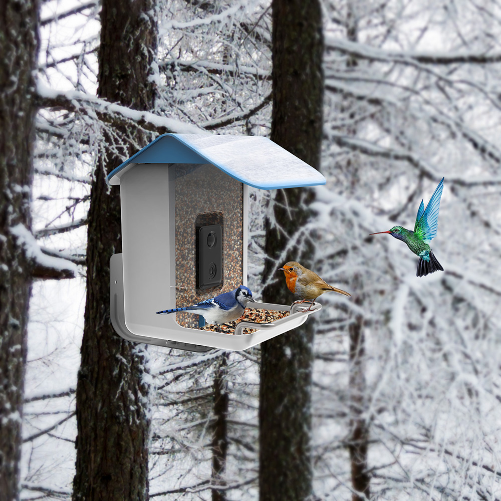 STLFNeuer Trend Smart Bird Fee – Solar Panel Bewertung und Preis
